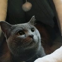 original sound - 🇵🇭🦋redbutterfly75🎤🎶