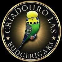 criadouro.las