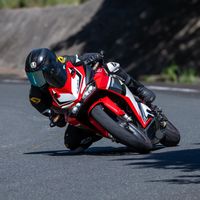 kuma_mc51