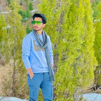 ladlatayyab99