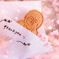 オリジナル楽曲 - happy sakura🌸🇯🇵《お出かけ》💐🥳🌇