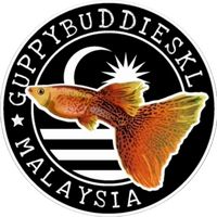 guppybuddieskl