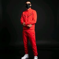 الصوت الأصلي