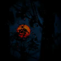 original sound - onlyme87i