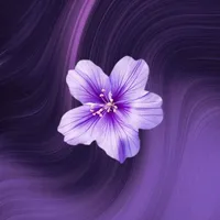 original sound - chelsi020