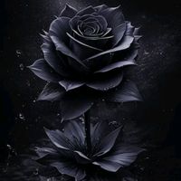 original sound - ꧁𓊈𒆜ɒʜƚi|o⅃𒆜𓊉꧂