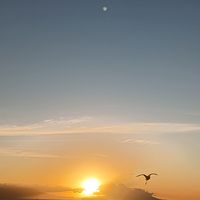 sunset.whispers8