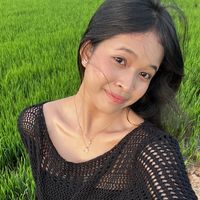 trea__pajeteam16