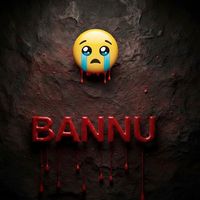 bannu__gull_