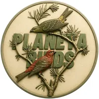 Ser Passarinheiro Planeta Birds