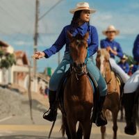 anapaula_ollv