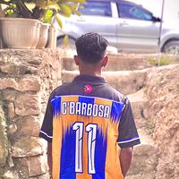 cbarbosa0911