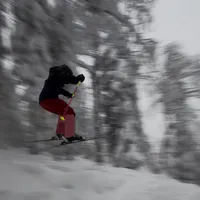 Best TikTok songs of 2019