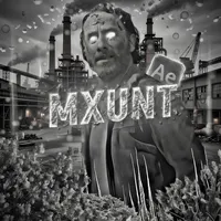 original sound - nemounttxz