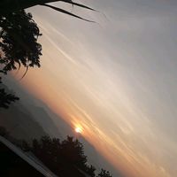 nh.l.m83