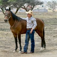 sonido original