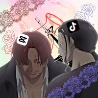 オリジナル楽曲 - ·̩͙꒰ঌ お頭と副長のお嬢 ໒꒱·̩͙