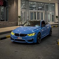 sharkyf82