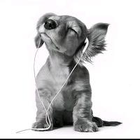 original sound - smile