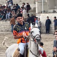 tayr.wazir