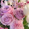 runa.gram84