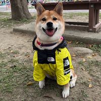luo_21