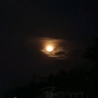 original sound - canal_jurassico