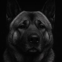 frodoelakita