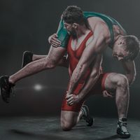 _cr_zy_228