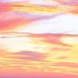 オリジナル楽曲 - 大学生 @浜田省吾ファン