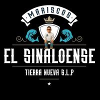 elsinaloensetierranueva