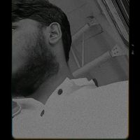 pavii.xx2