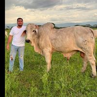 albertodarioulloa1