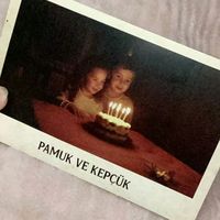orijinal ses