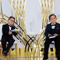 الصوت الأصلي