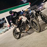 alexander_1071