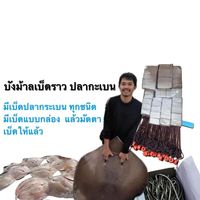 nattnon23120