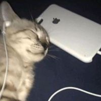 original sound - wait, you know this song?