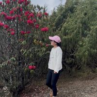 kuen_ley_1999