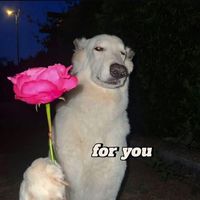 chhoeunphaly1