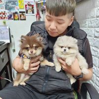 xiao_bosss