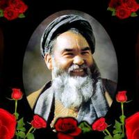 ali.hazara384