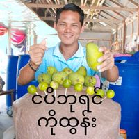 မူရင်းအသံ - ကိုထွန်းဖေဖေလက်ရာငပိထောင်းထုပ်