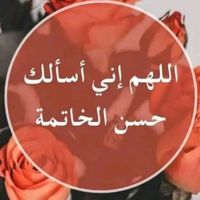 dhameystiran11c