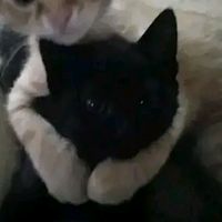 johnmarkfernandez032