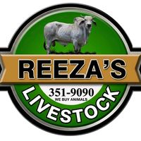 reeza_livestock09