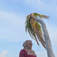 rifa_riza