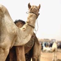 abou_003
