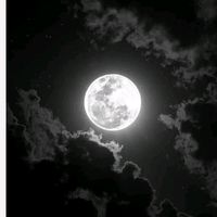 mohammad_6460