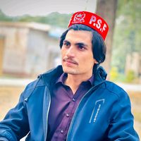 shujaatalikhan296